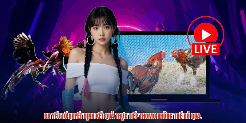 Ba yếu tố quyết định kết quả trực tiếp thomo không thể bỏ qua.