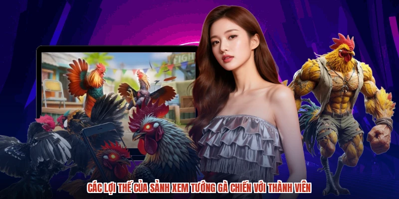 Các lợi thế của sảnh xem tướng gà chiến với thành viên