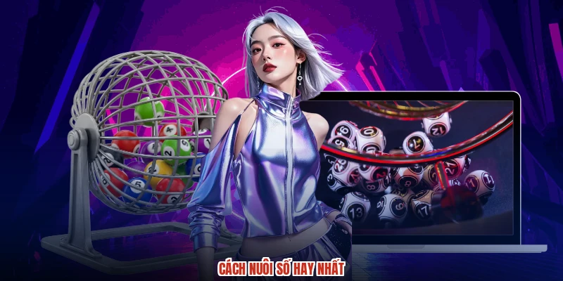 Cách nuôi số hay nhất