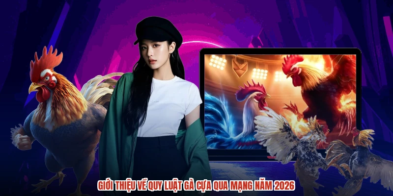 Giới thiệu về quy luật gà cựa qua mạng năm 2026