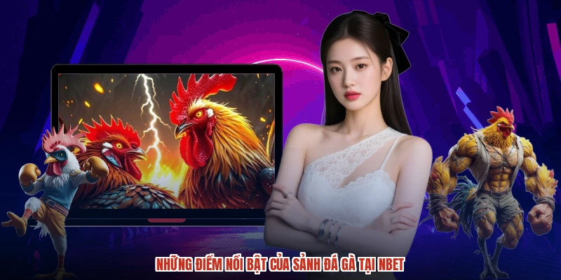 Những điểm nổi bật của sảnh đá gà tại NBET