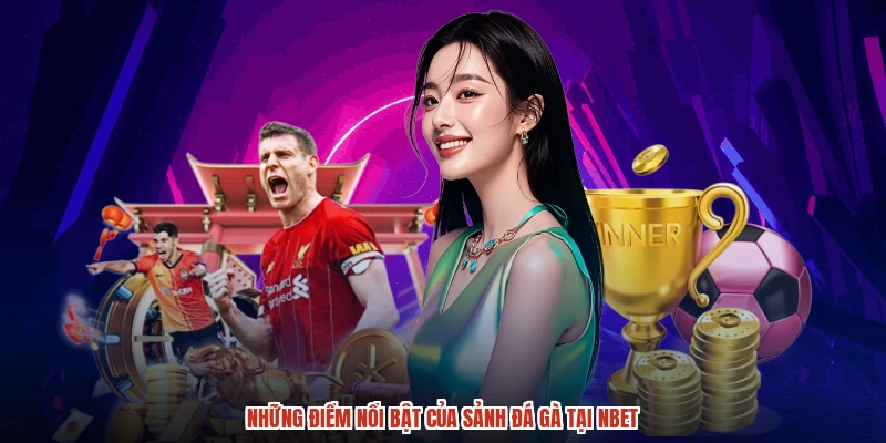 Những điểm nổi bật của sảnh đá gà tại NBET