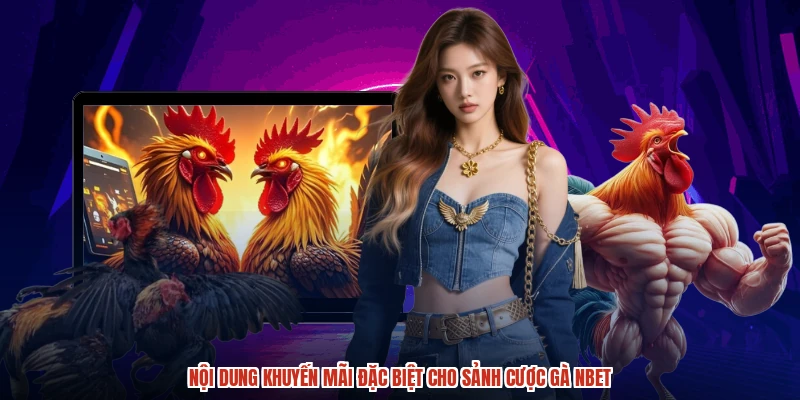 Nội dung khuyến mãi đặc biệt cho sảnh cược gà NBET