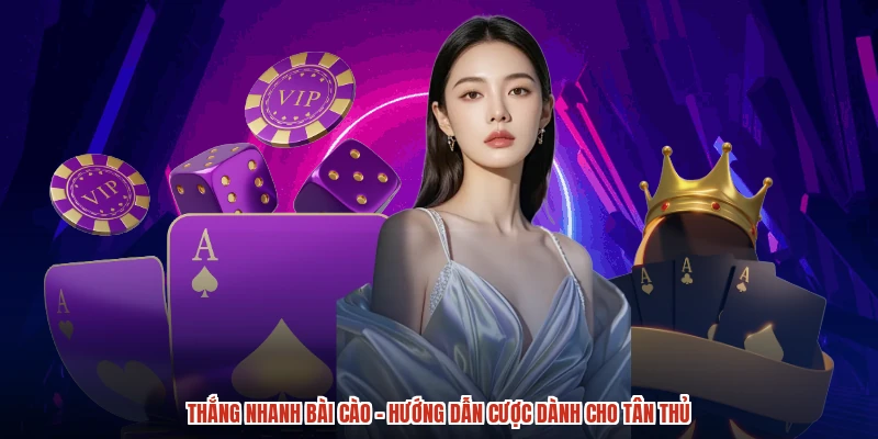 Thắng Nhanh Bài Cào - Hướng Dẫn Cược Dành Cho Tân Thủ
