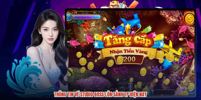 Thông tin về studio boss lớn sảnh TP hiện nay