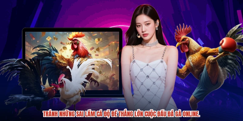 Tránh những sai lầm cá độ để thắng lớn cuộc đấu đá gà online.