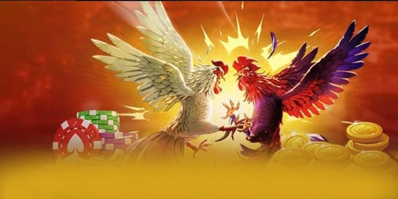 Đánh giá BET168 - Cổng giải trí uy tín hiện nay